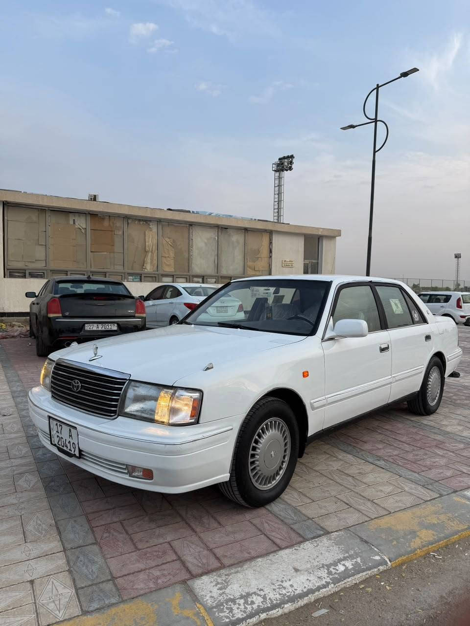 راس ثور • سعودي • دواخل كارتون