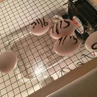 فقاسة فلين • ٦٠ بيضة • مجرّبة