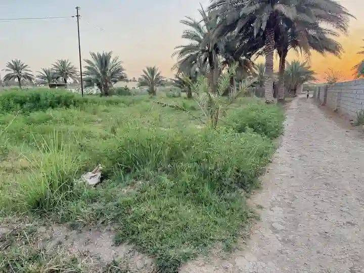 السلام عليكم ورحمة الله وبركاته
ارض للبيع مساحتها دونم طابو زراعي سند 25
الواجهية21 متر تطل على الشارع التبليط النزال 119
فيها دار بناء حديث مساحته 315متر 
واقعة في منطقة الجيلاوية جميع الخدمات من ماء وكهرباء وتبليط والتحويل مباشر 
على من يرغب الشراء الاتصال بالأرقام التالية
***********
***********
