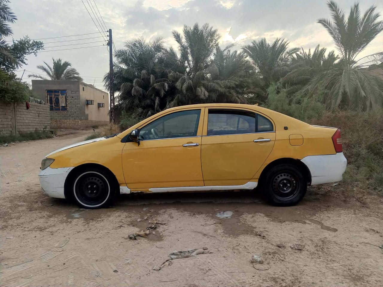 ليڤان • ٢٠١١ • سوق الشيوخ