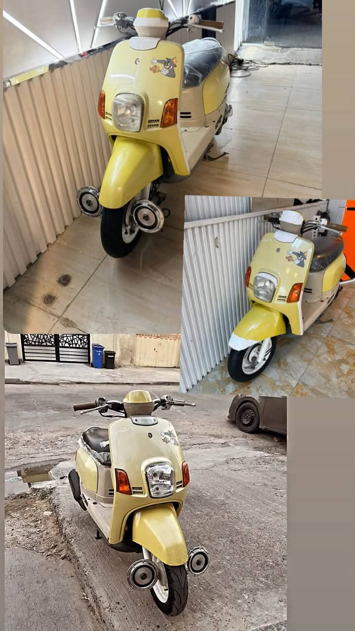 بوليس ليموني🍋داخل كريمي بلاد رايدهة ٩٠٠مكان بغداد 
***********
