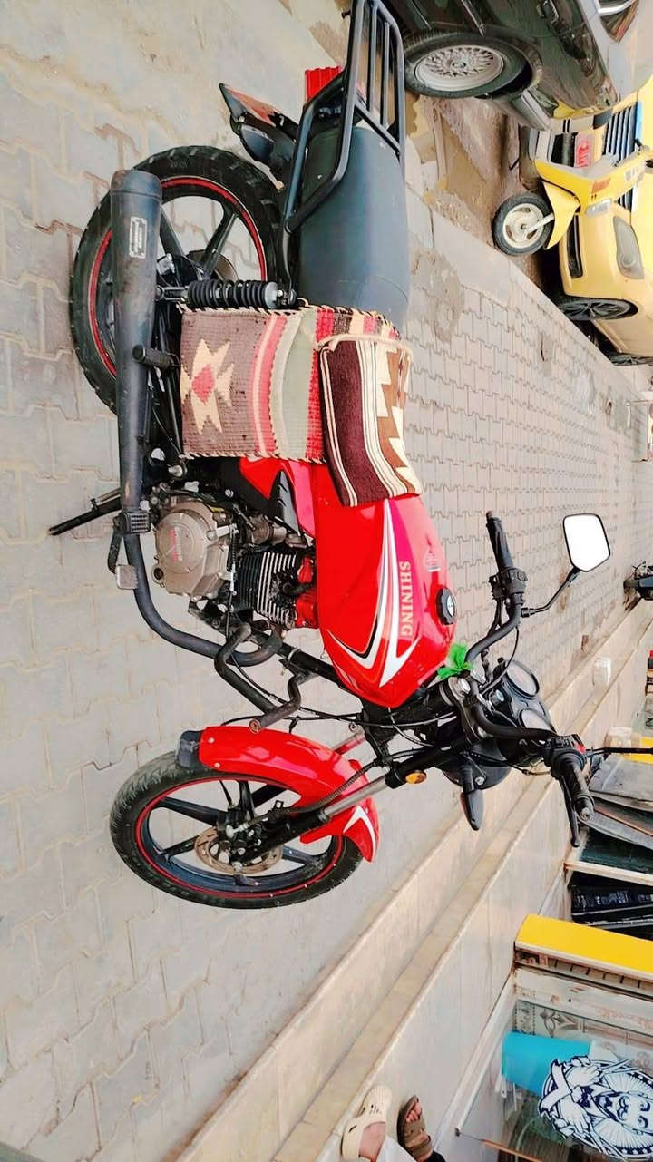 شاينك • مديل ٢٣ • اصولي