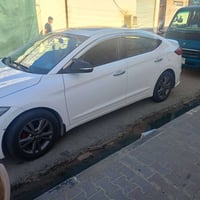 النترا ٢٠١٧ • خليجي • فول