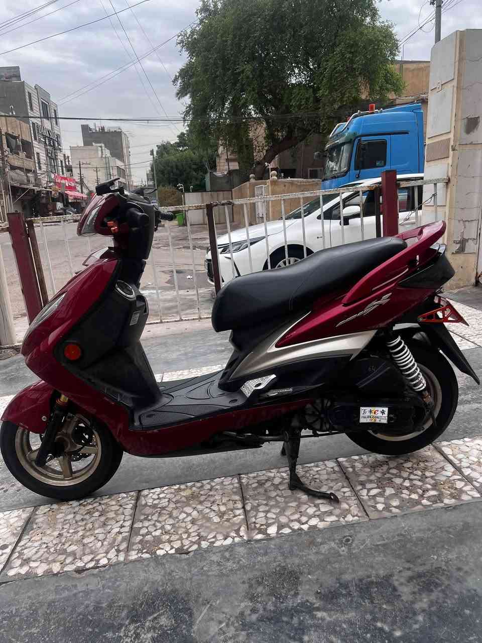 سكنس فحل • ٥٨ • زنون