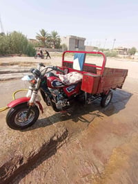 ستوته • موديل ١٧ • تعمير ٢٤