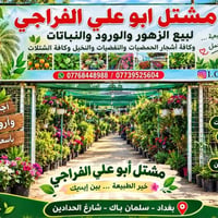 مشتل ابو علي • سلمان باك • زهور وشتلات