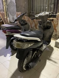 سكنس فحل • جاهزه • لايت زنون