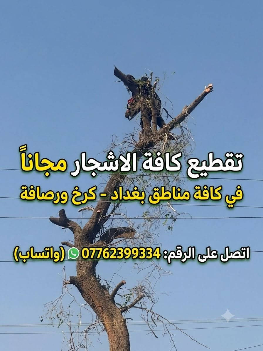 تقطيع كافة الاشجار مجاني في كافة مناطق بغداد كرخ ورصافه اتصل علا الرقم *********** واتساب
