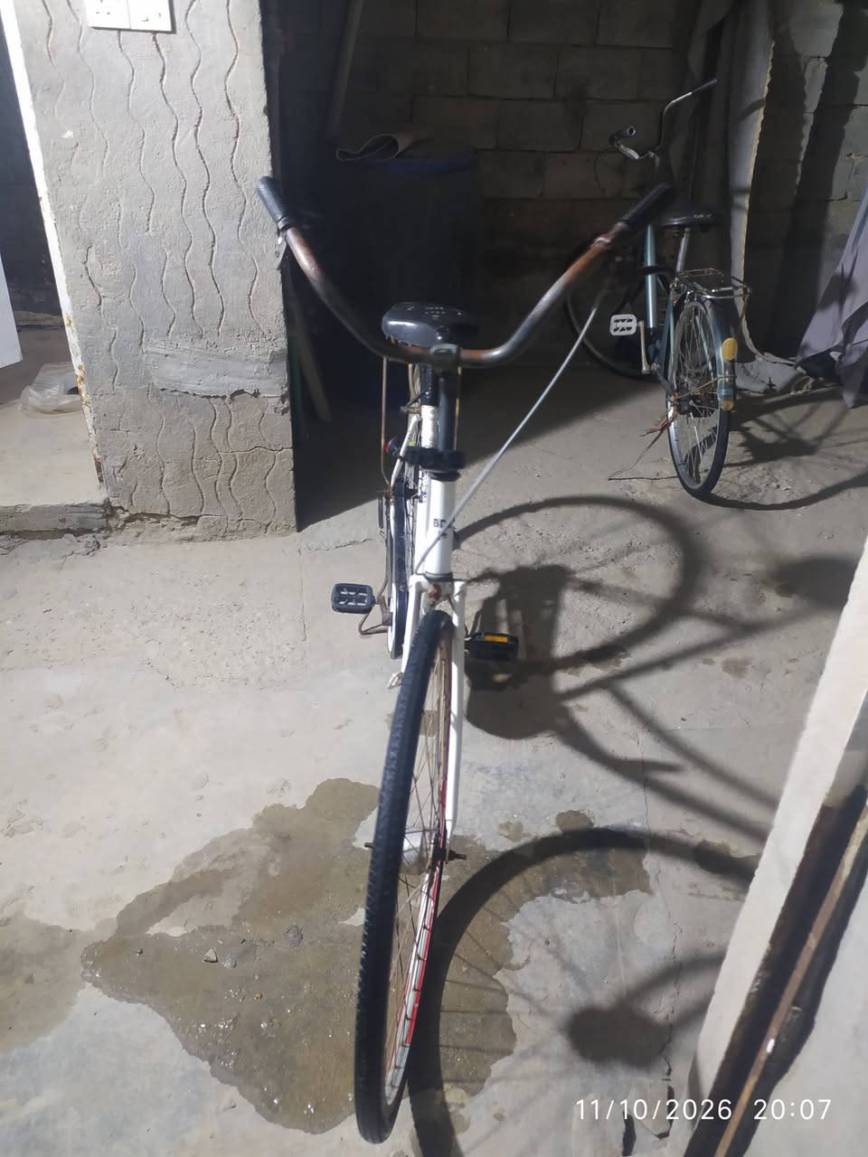 باسكل • حجم ٢٧ • نقص الكشن