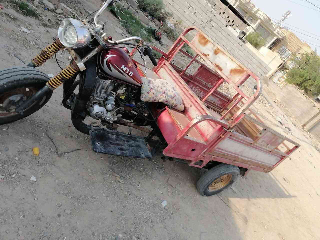 ستوته • سلف • مكفوله