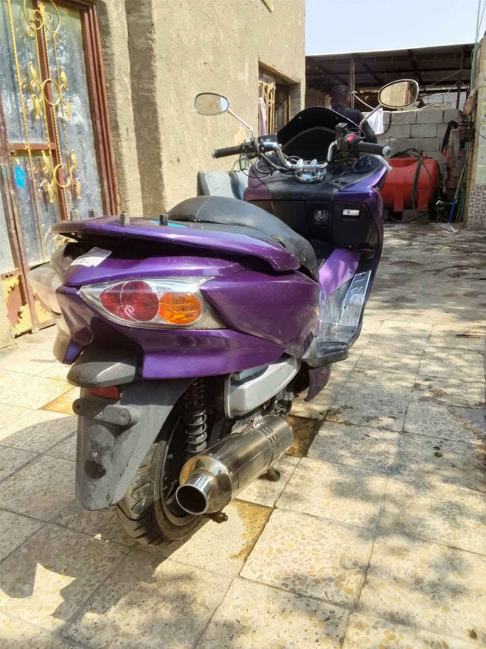 فورزا • شغاله • ابو رمانه