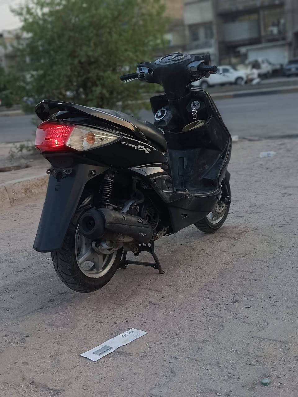سكنس • ياباني • اوراق كامله