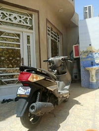 سكنس فحل • ياباني • كربلاء
