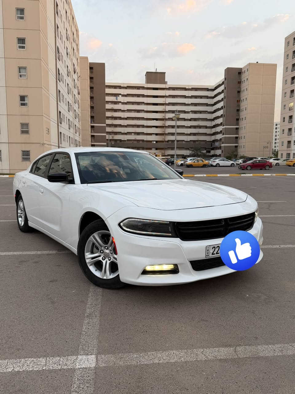 السلام عليكم
جارجر 2023 
مواصفات sxt
حافة البنيد صبغ بدون دواخل بدون ايرباك صورة الحادث مرفقة 
رقم اربيل سنوية بسمي 
رقم الهاتف ***********
السعر 235$

