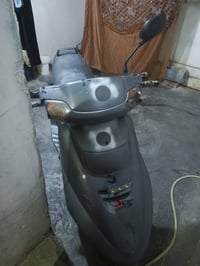 فراشه • شغاله • للبيع