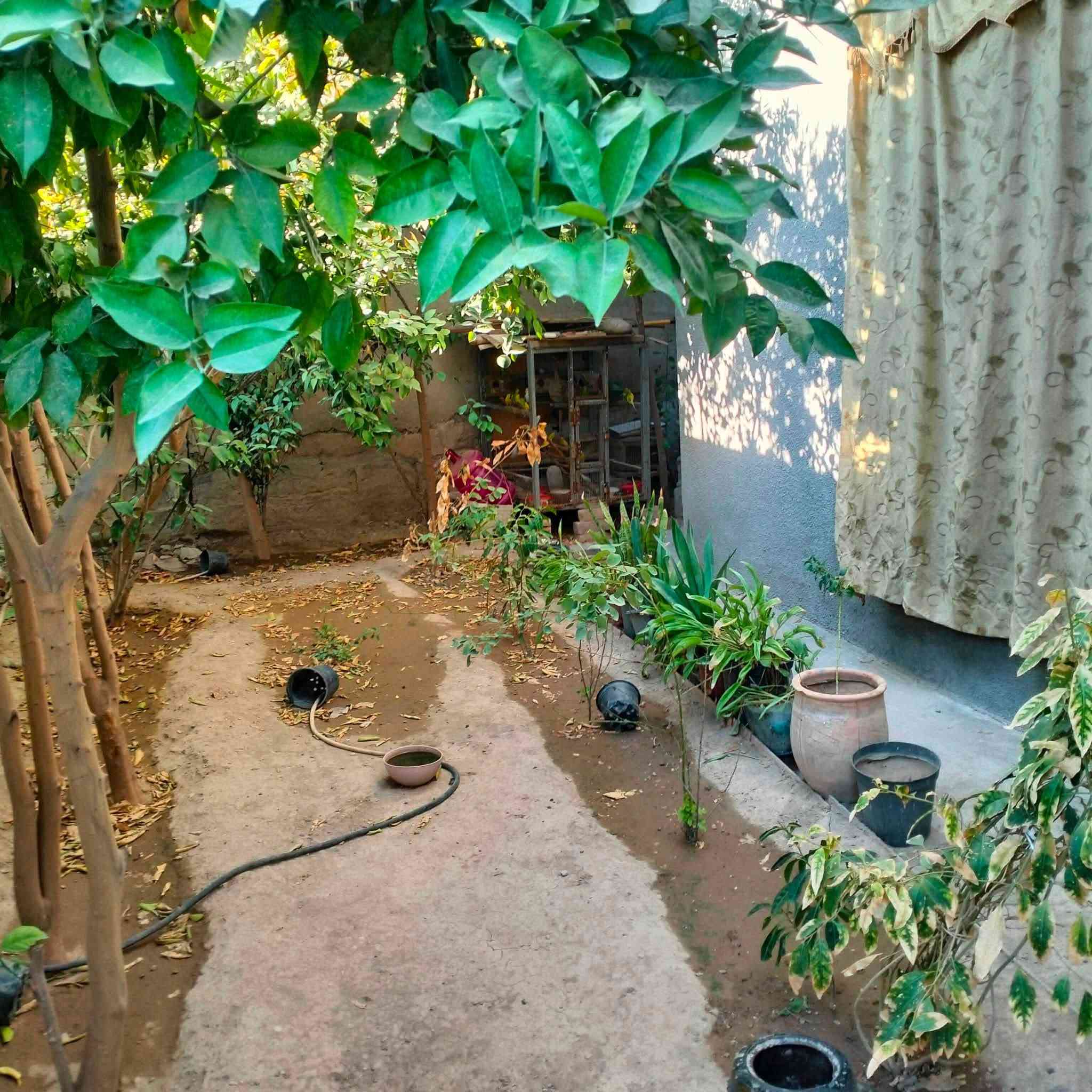 الدار للبيع
المساحه ١٩٠ يحتوي على 

الطابق الأول مجمع(كلدور )

استقبال كبيره ٨×٤/٥

مطبخ ٥×٥

صاله داخليه 

غرفة نوم 

حمام 

الطابق الثاني 

غرفتين نوم ٥×٥ والثانيه ٦×٤

حمام 

توجد غرفه في الثالث تستخدم مخزن 

حمام خارجي  
كميره/قريه الحاج صبر 

 هاتف***********
