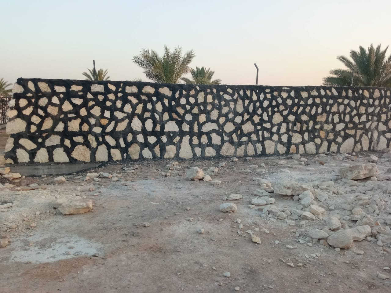 ١٠٠٠م • واجهة ٢٨ • طابو زراعي
