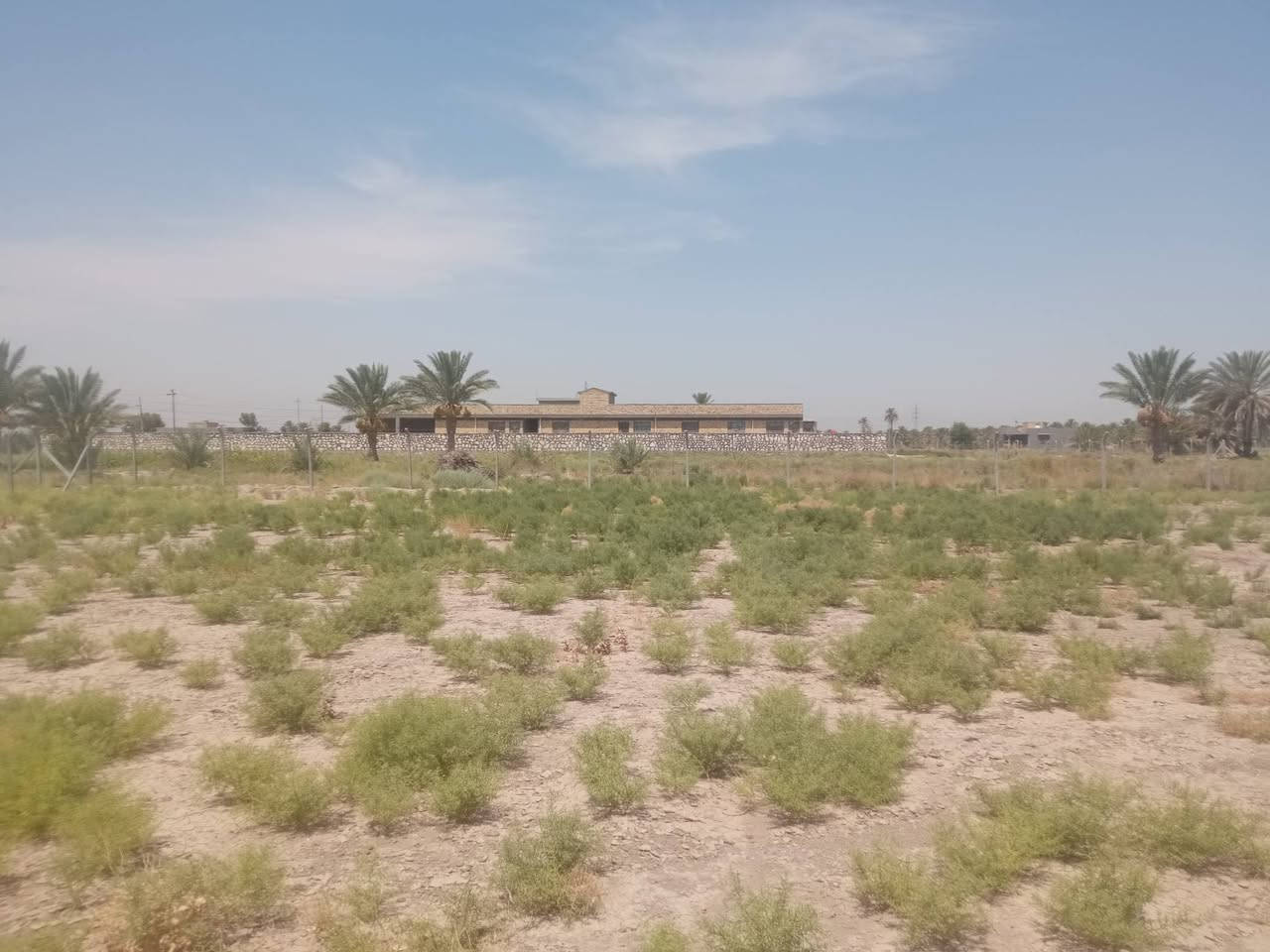 🏡 فرصة مميزة للبيع – قطعة أرض طابو زراعي 25 🌿

📍 الموقع: بزل حجي علي – شارع أبو عرايس📄 نوع السند: طابو زراعي 25📐 المساحة: 1000 م²📏 الواجهة: 27.5 متر📏 النزال: 36.36 متر تقريبًا

✨ مميزات القطعة:✅ موقع مميز وقريب من الشارع الرئيسي✅ مناسبة للسكن أو الاستثمار أو إنشاء مزرعة✅ متوفر ماء السقي✅ متوفر ماء الإسالة✅ الكهرباء متوفرة

💰 السعر: 88 مليون دينار عراقي قابل للتفاوض.

📞 للاستفسار: ***********

🌟 لا تفوّت هذه الفرصة لامتلاك قطعة أرض بموقع مميز وسعر مناسب.
