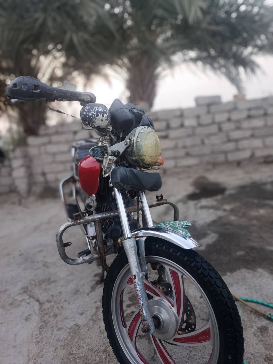 تايموته • ٢٠١٧ • مرقم سنويه