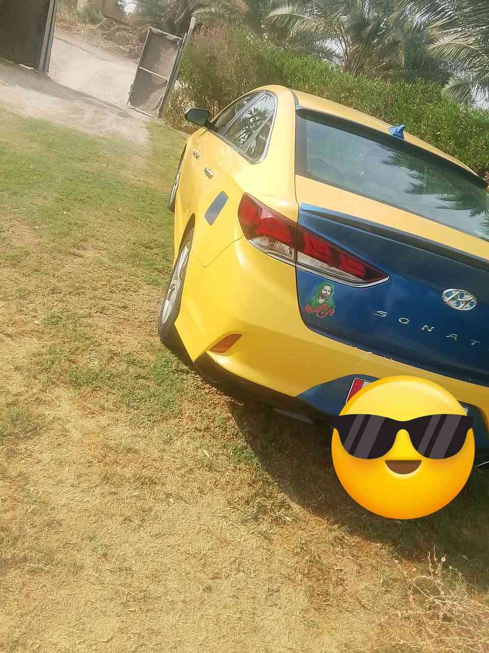 سوناته • ٢٠١٩ • بدون دواخل
