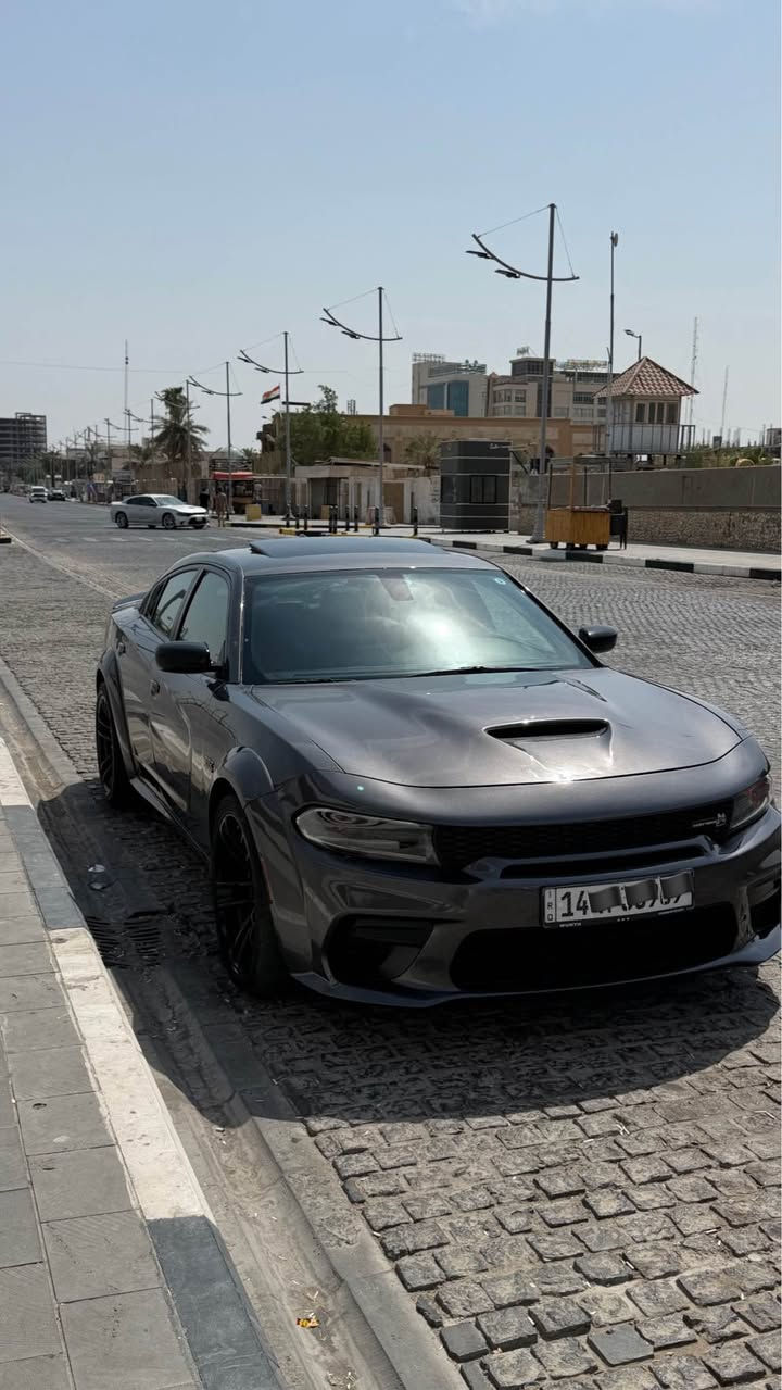 هيمي 392 • وايد بودي • رقم البصرة