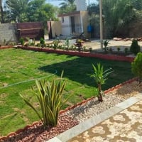 حدايق • ديكورات • تكريت قادسية