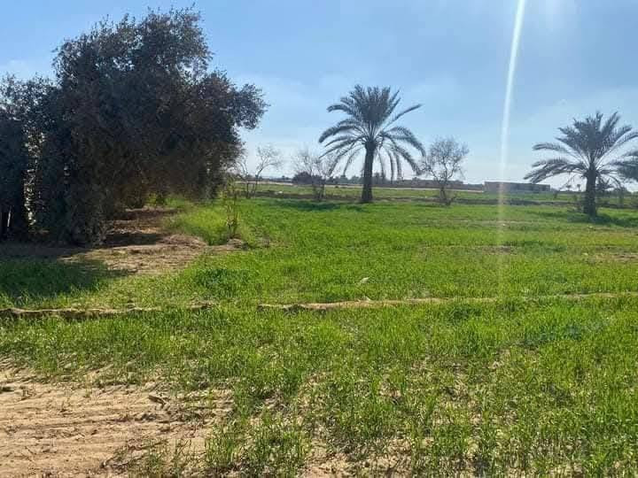 #استغل_الفرصة_الذهبيةوأستثمراموالك_قربسريع . 💎
#للبيع 🌍 المساحة 20دونم موقع مميز 
    
📌 بغداد - التاجي- ذراع دجلة - منطقة الشيخ عامر تحديدآ منطقة العيساويه  جميع الخدمات متوفر ) 🔯

   🟨 تكون واجهة دونم الواحد الوجهه 50 والنزل 50 
   🟩السعر الدونم 6 مليون ونص وبي مجال 

🟨 متوفر خدمات - تجي وتشوف بعينك مو بس كلام 💎بسند مستقل 
🟨ماء اسالة قريب 
🟨1- ماء سقي نهر رئيسي من ذراع دجلة
🟨2- كهرباء مدار 24 ساعه
🟨3- تبليط ثاني قطعة - سوق - مجمعات طبية - مدارس - سكن 

         شروط ضمان حقك 💎
 ما اخذ منك فلس الة بعد تثبيت حدود الأرض واسلمك مرتسم بل أرض مالتك وافتحلك بيان في التسجيل العقاري 
ثاني يوم يكون فتح بيان 

صار عندك تفاصيل كاملة أعلاه ✔️

للستفسار ***********
