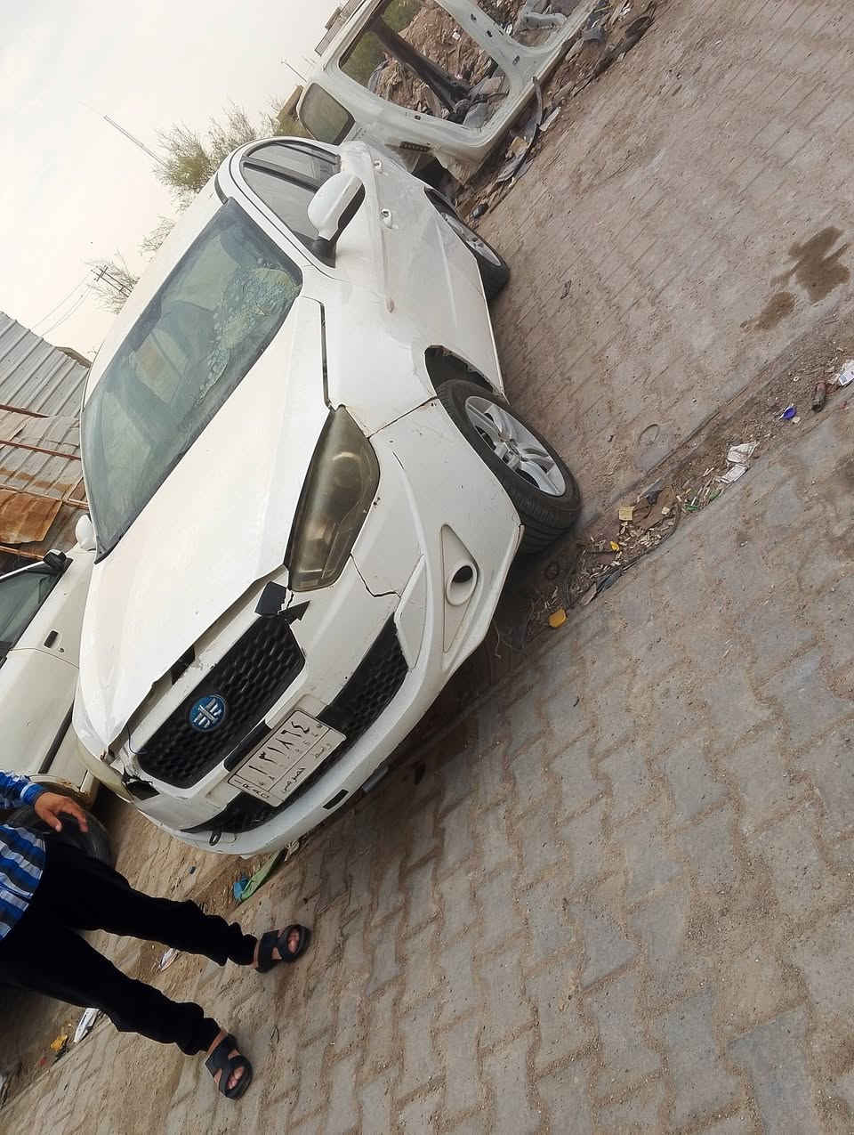 فاو اولي • ٢٠١٥ • ضفيره جديدة