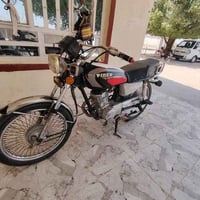 تايگر • اوراق • مكفول