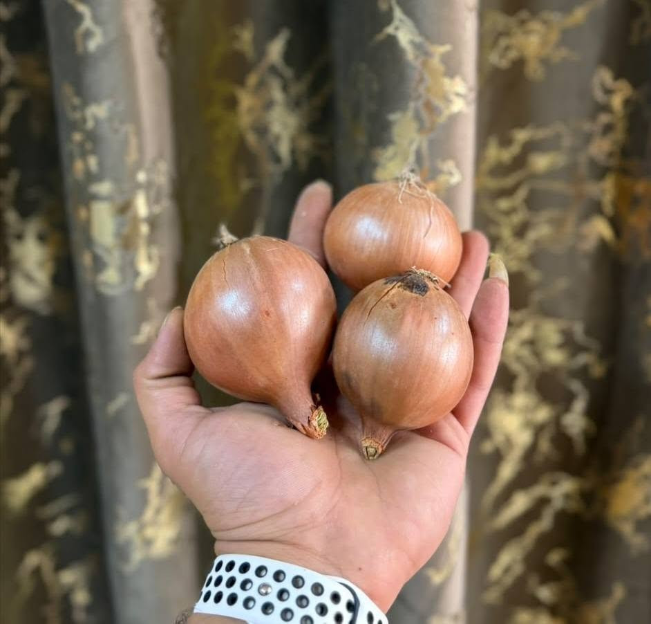 خيرات بسماية • خضار وفواكه • طماطة عراقية
