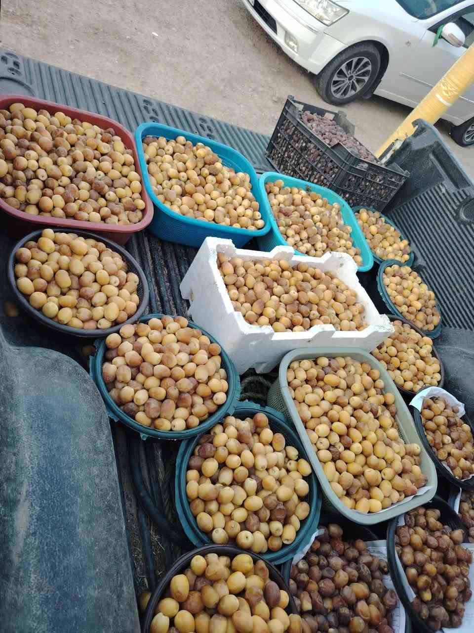 برحي درجة أولى • بريم ناشف خشن • دهن حر نضيف