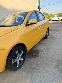 فاو اولي • ٢٠١٥ • كوت
