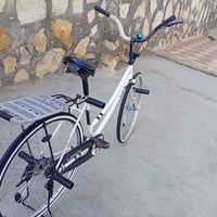باسكل • طوريج
