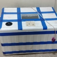فقاسة • ١٠٠بيضة • سماوة