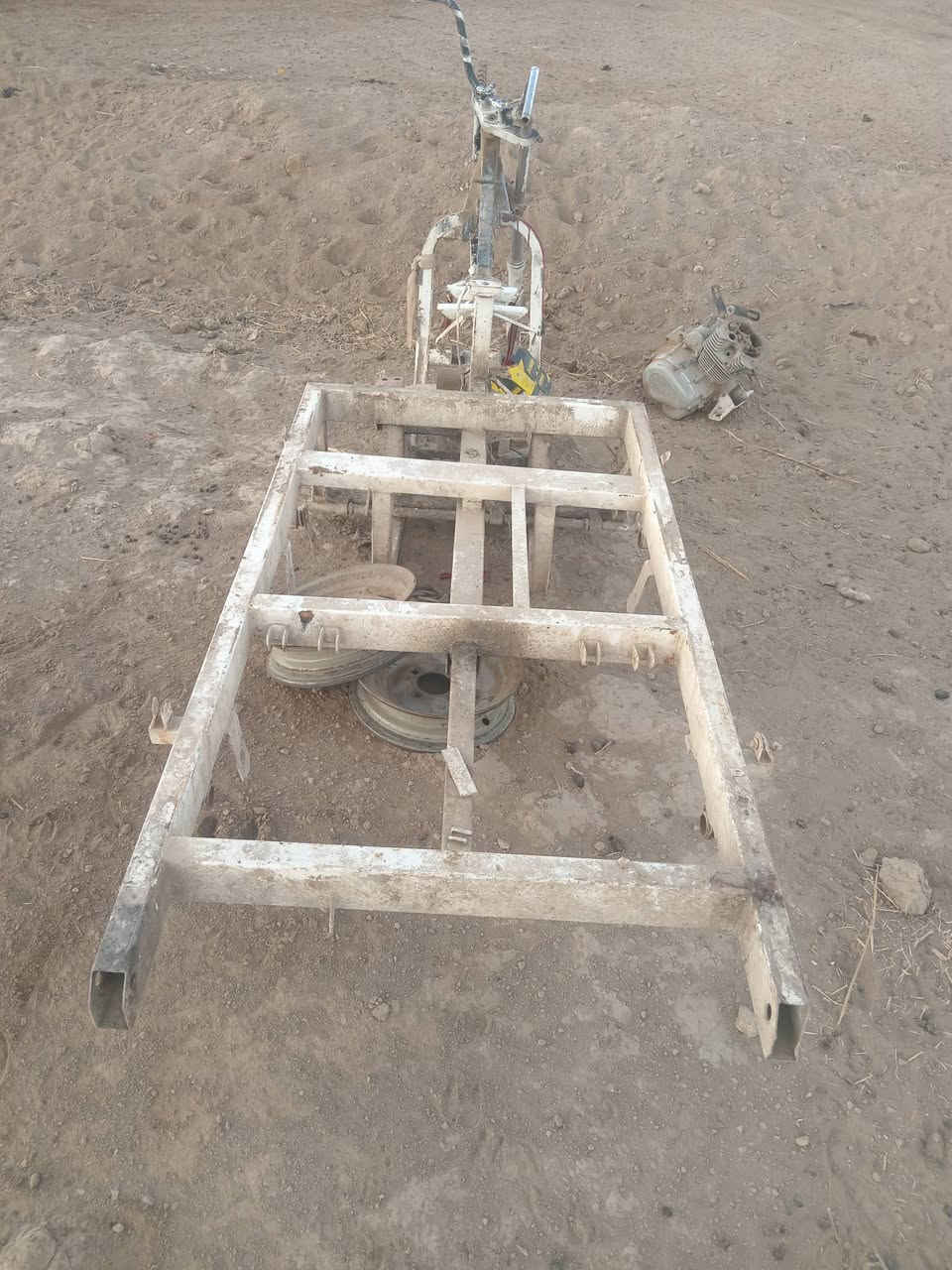 شاصي • كلك • سعر خاص