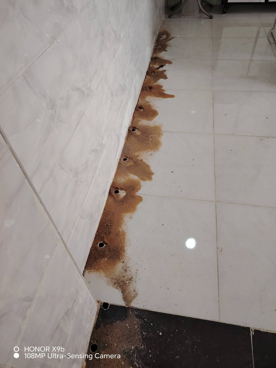 على بركة الله الى سكنة مجمع ما بين الحرمين نعلن لكم أفتتاح مشروع مكافحة حشرة الأرضة في المجمع وبأسعار تنافسية وبمواد أصلية وفعالة من أجود أنواع المبيدات القوية مع الضمان على المواد والعمل وهاي نموذج بسيط عن عملي داخل المجمع وسترون النتائج ان شاء الله

للحجز والأستفسار الأتصال على الرقم *********** او على الواتساب

نص مكتوب في الصور:
- بيتك أمانة.. ونحافظ عليه مكافحة حشرة الأرضة في مجمع مابين الحرمين لأن بيتك يستحق الحماية .. نقدم لك حلولاً فعالة وآمنة لمكافحة الأرضة والنمل الأبيض، مع خبرة واحترافية عالية. مكافحة الأرضة والنمل الأبيض معالجة أماكن الإصابة فحص وتحديد أماكن الإصابة حماية الأثاث والأبواب والأرضيات خدمة منزلية وبأسعار مناسبة أمان على العائلة مواد آمنة وفعالة سرعة في التنفيذ تخلص من الأرضة قبل أن تتوسع وتدمر ممتلكاتك التخلص من المستعمرات معالجة السطوح معالجة الحقن للحجز والاستفسار *********** النجف / الحيدرية معاً .. لبيئة خالية من الآفات
- HONOR X9b
- 108MP Ultra-Sensing Camera
- O HONOR X9b