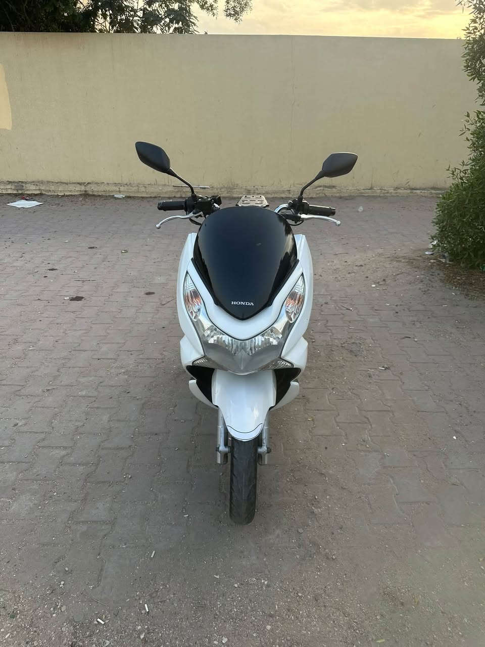 PCX • ١٥٠ • مكفولة