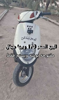بوشه وبستم • بيها مجال • كرمة بني سعيد