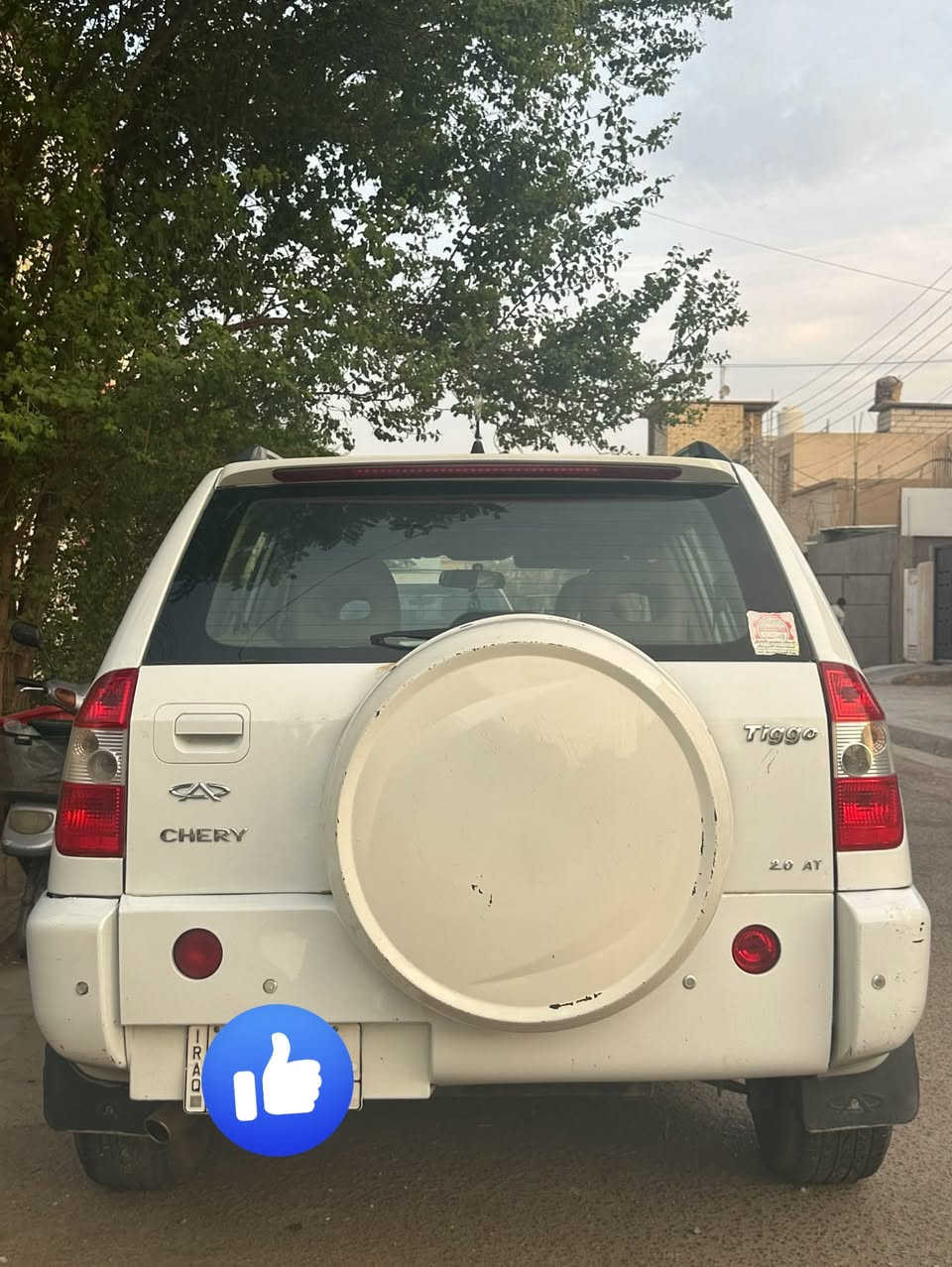 شيري تيكو • ٢٠١٢ • كربلاء