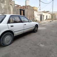 كريسيدا • ١٩٨٩ • ناصرية مركز