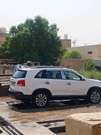 سورنتوا • ٢٠١٢ • سبع راكب
