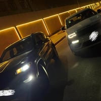 اللهم اجعل لشاريها الخير ولراعيها البركة ومن لا يقدر على شرائها الله ي...