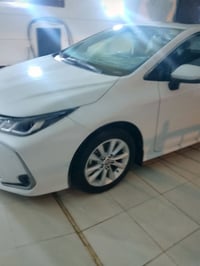 خط نقل • طلاب وموظفين • داخل الرمادي