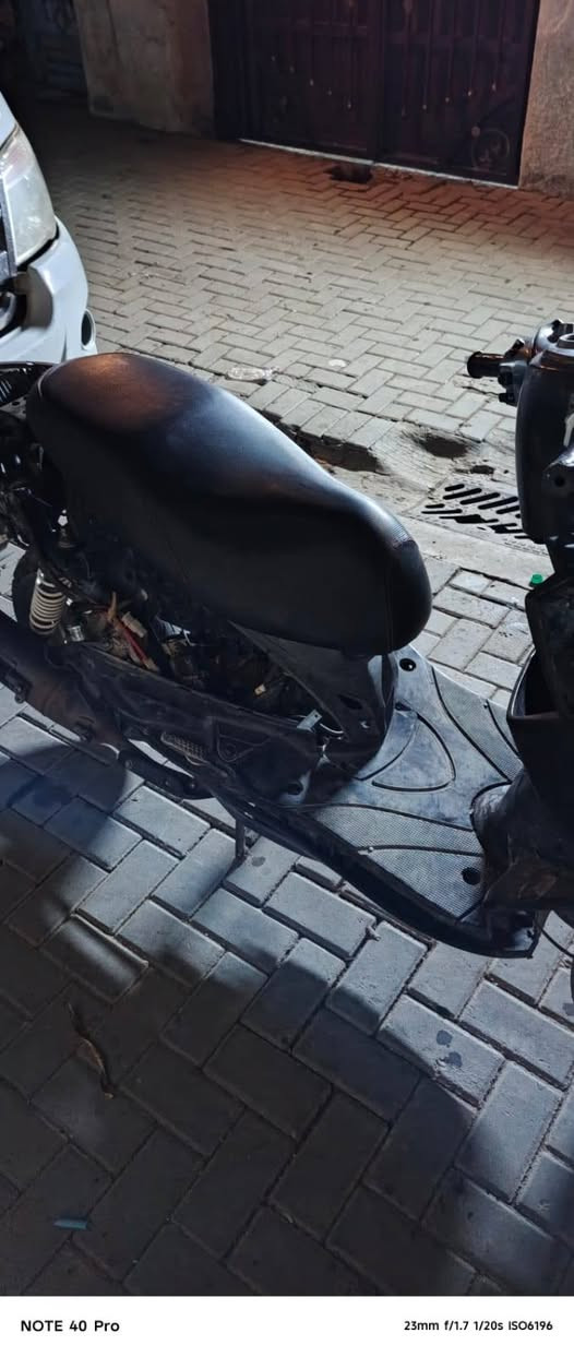 سكنس فحل • بدون كفرات • مجال قليل