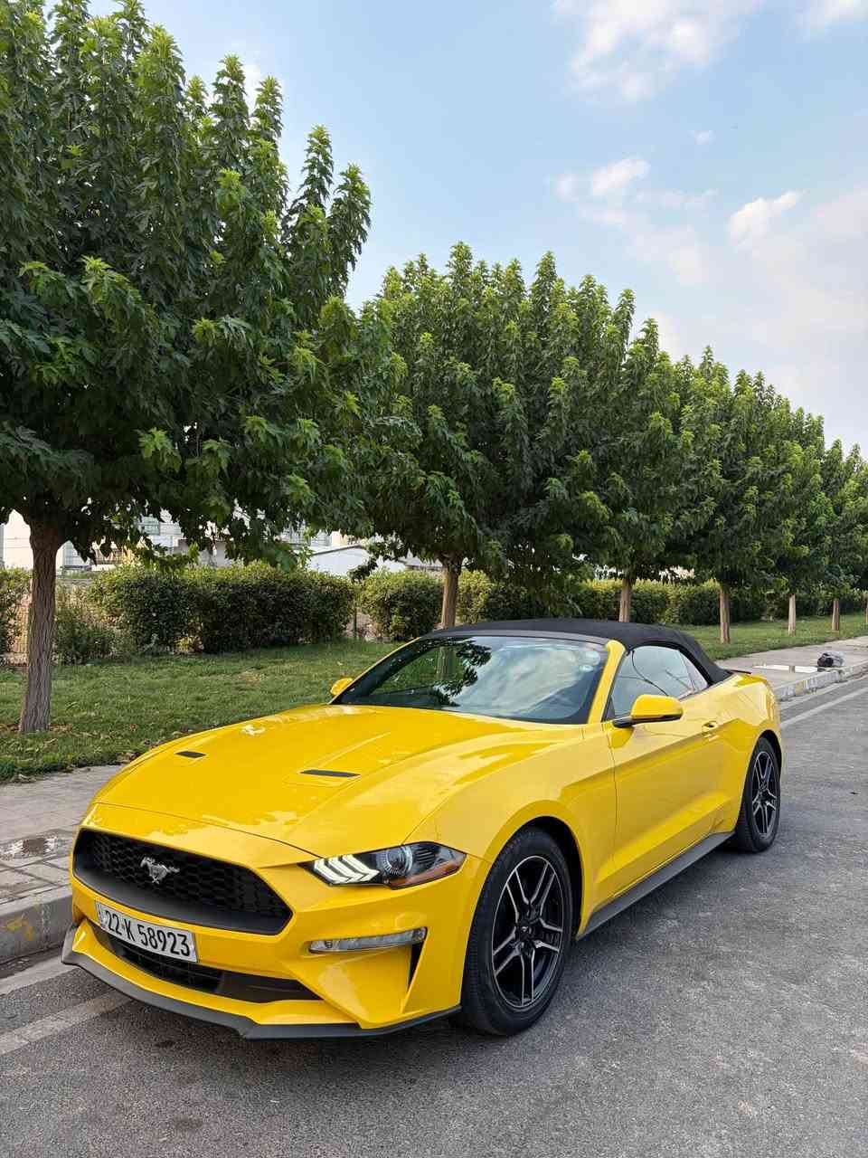 ﷽

Ford Mostang  2018
Eco boost 
فورد موستانگ ٢٠١٨ 
يكؤ بوست 
فول فول مواسفات 
مكينه به شه رت نه كرايته وه 
١٢٦ هزار كيلومتر رويشتيه 
بي بؤياغ كلين 
٢ پيدئاري هه يه 
گيچ ديجيتل بيلادي 
رادار پيش و ته نيشت 
خه تي جاده 
تحديد سورعه 
كوشين خزن 
كوشين كاربا 
كوشين جلد 
كوشين سارد و گه رم 
شاشه گه وره 
كارپله ي 
گيچ ٤ جور 
١٠ نمره 
ده ركه بسمه 
شه غال 
 ناو الوان 
زؤر مواسفاتي تر 
هه موو شتيكي به شه رت 
گير و مكينه و كارباي 
سعر - ١٥٨ و مجال 
*********** 
واتسئاپ أربيل, العراق

