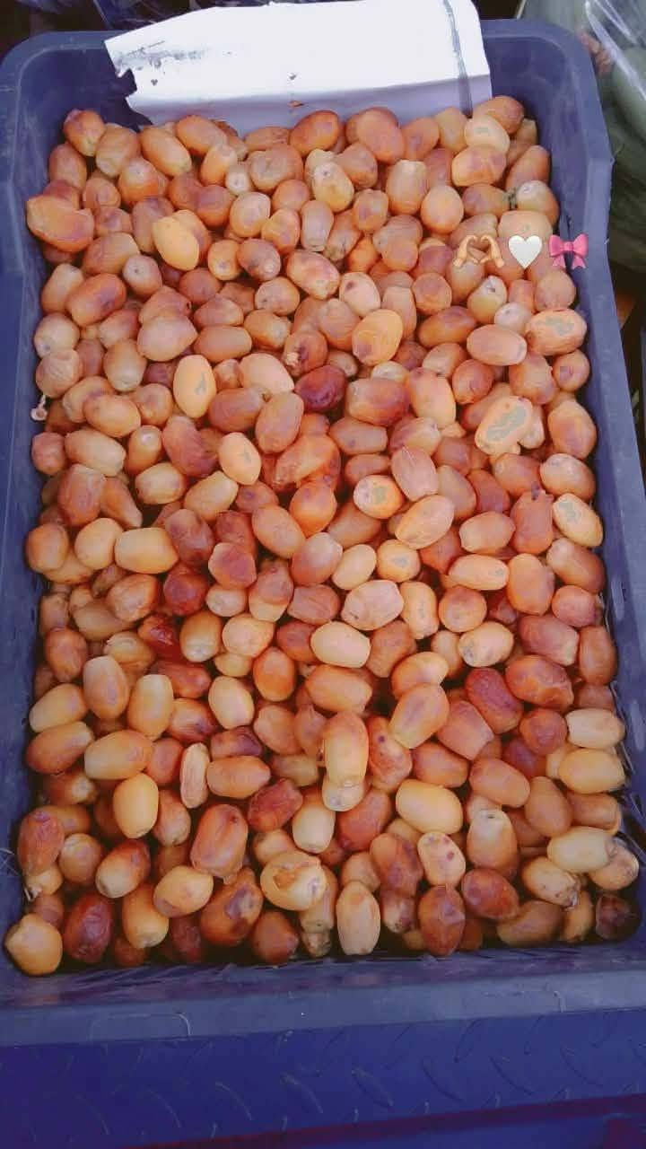 خيار • بطيخة ناعمة • تمر ورمان