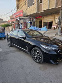 كيا ستنكر • ٢٠٢٠ • صبغ