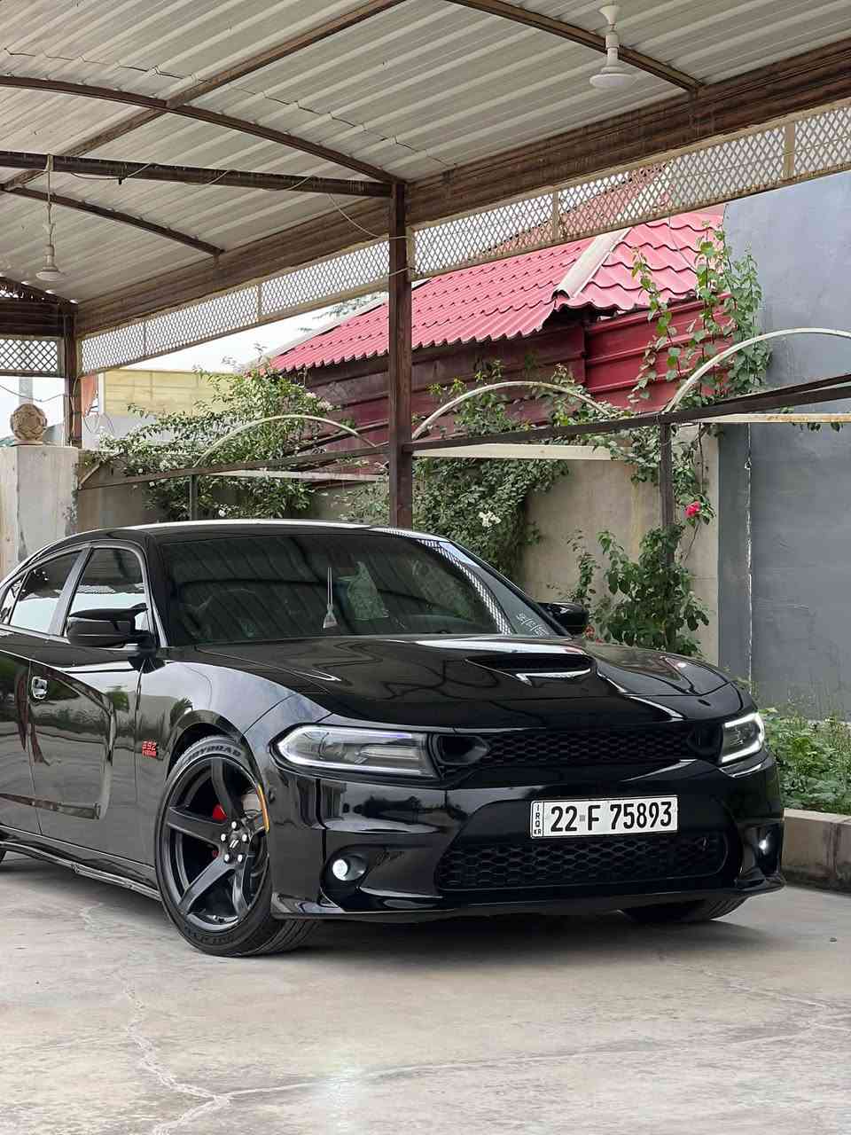 تشارجر SXT • ٢٠١٩ • اربيل