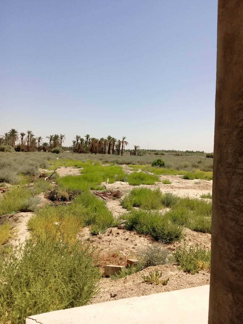 للبيع منطقه البحوري
***********
