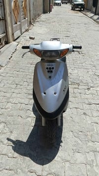قردة • ٦٠ • سلف وهندل